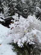 Top Neustift im Stubaital