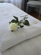 Fashion and Travel PACIFICO