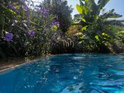 A historic STONE VILLA with private garden, terrace and private pool just for you