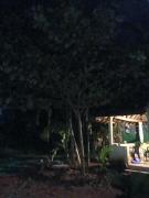 Top Gokarna