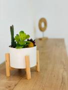 Top Costa Del Silencio