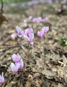 CASA FUGIANO, Holiday Apartments