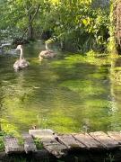 Gîte pieds dans l Epte prêt de Giverny