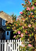 Cute Cornish Cottage