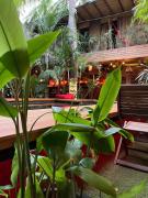 Top Puerto Escondido