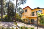 Top Kasauli
