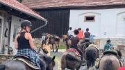 Top Wleń