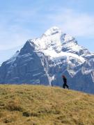 Top Grindelwald