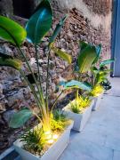 Morgana Luxury Apartment