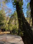 Top Vilches