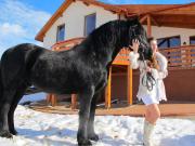 Top Úrkút Top Úrkút