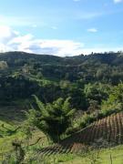 Top San Vicente