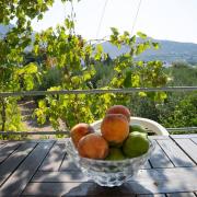 Panormos,Irenes studios