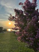 Mias House on Lake Garda Mias House on Lake Garda