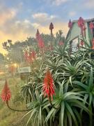 Complejo Las Carmelas