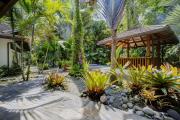 Top Punta Uva
