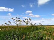 8 person holiday home in Rønde-By Traum