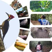 Top Villagarzón Top Villagarzón