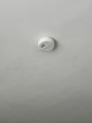 Top San Martín Texmelucan de Labastida