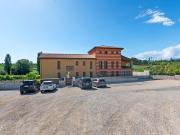 Top Lazise