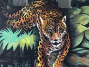 Casa Balam Cayo Lobo