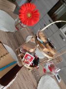 History HOUSE History HOUSE