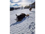 Holiday apartment in St Peter with balcony
