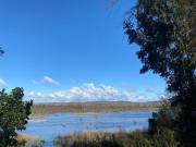 Top Valdivia Top Valdivia