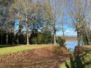 Top Valdivia Top Valdivia