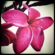 Studio AcquaHouse Tatajuba