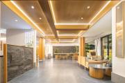 Top Chizhou