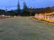 Top Ban Muang Ton Mamuang Top Ban Muang Ton Mamuang
