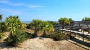 Top Tybee Island
