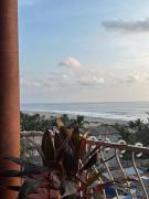 Top Brisas de Zicatela