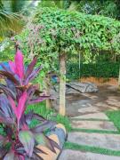 Golden Dolphin Grand Hotel