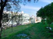 Top Arequipa