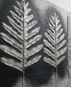 Vanilla Lee Guest Suite