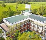 Rain Tree by Oak Ray