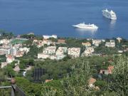 Top Sorrento