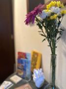 Top Palermo Top Palermo