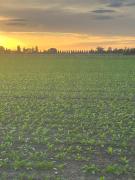 Villa Solarola Country House