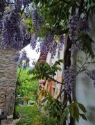 Casa S Antonio Aradolo