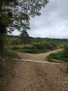 Top Pagny-sur-Moselle