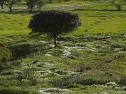 Top Aldeia dos Fernandes Top Aldeia dos Fernandes