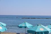 Top Limassol