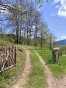 Bridge View Tara -House Lekovic