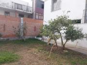 Top Lima
