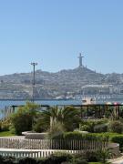 Top Coquimbo Top Coquimbo