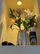 MASAI Apartment Goba