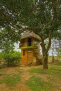 Top Auroville
